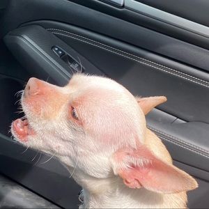 Meet your Posher, Patrice